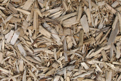 biomass boilers Cabus
